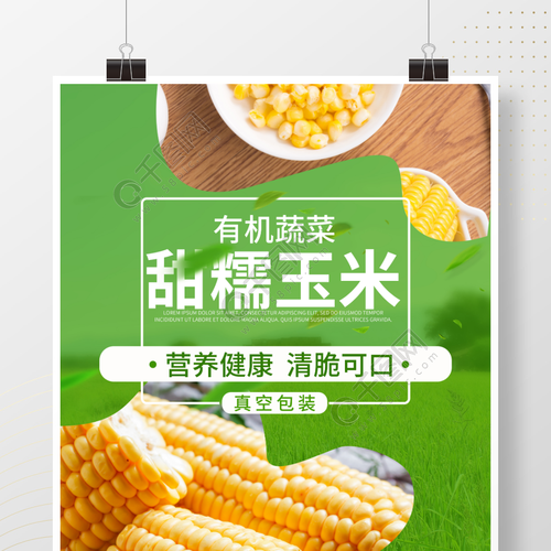 玉米宣传海报农产品矢量图免费下载_psd格式_3543像素_编号40324266